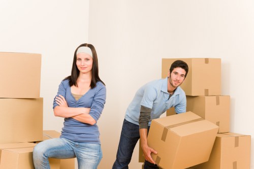 Boxes and furniture prepared for a removal van service in Camdentown