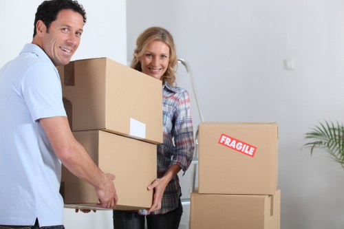 Team member reviewing a removal service issue carefully